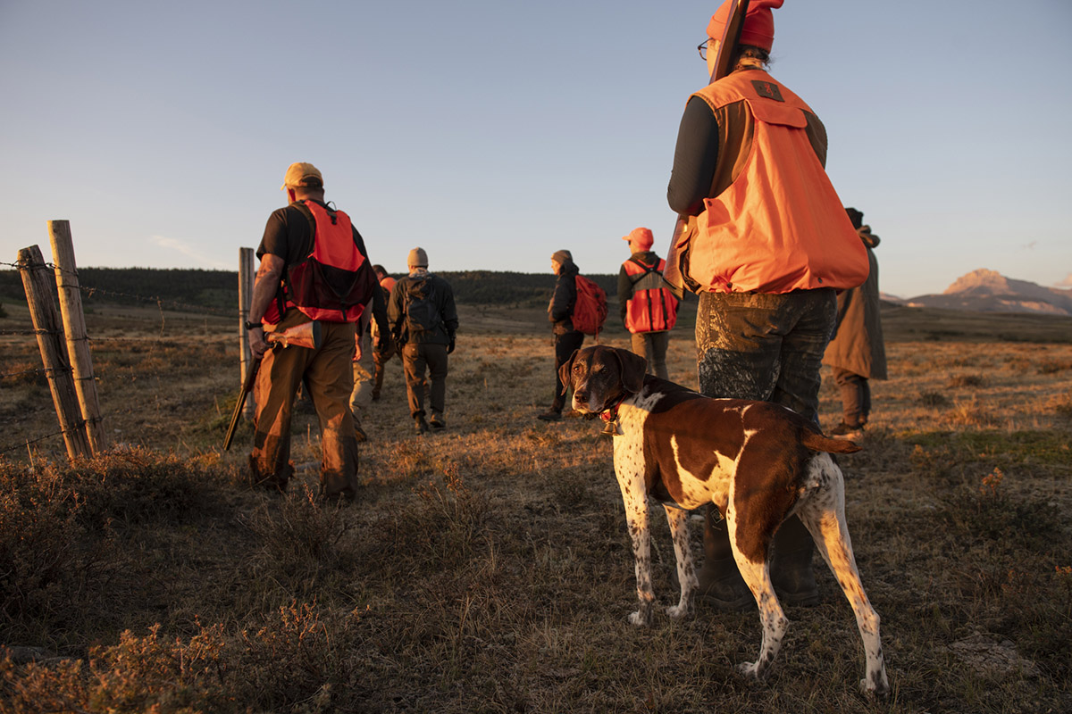 Photo of students upland bird hunting