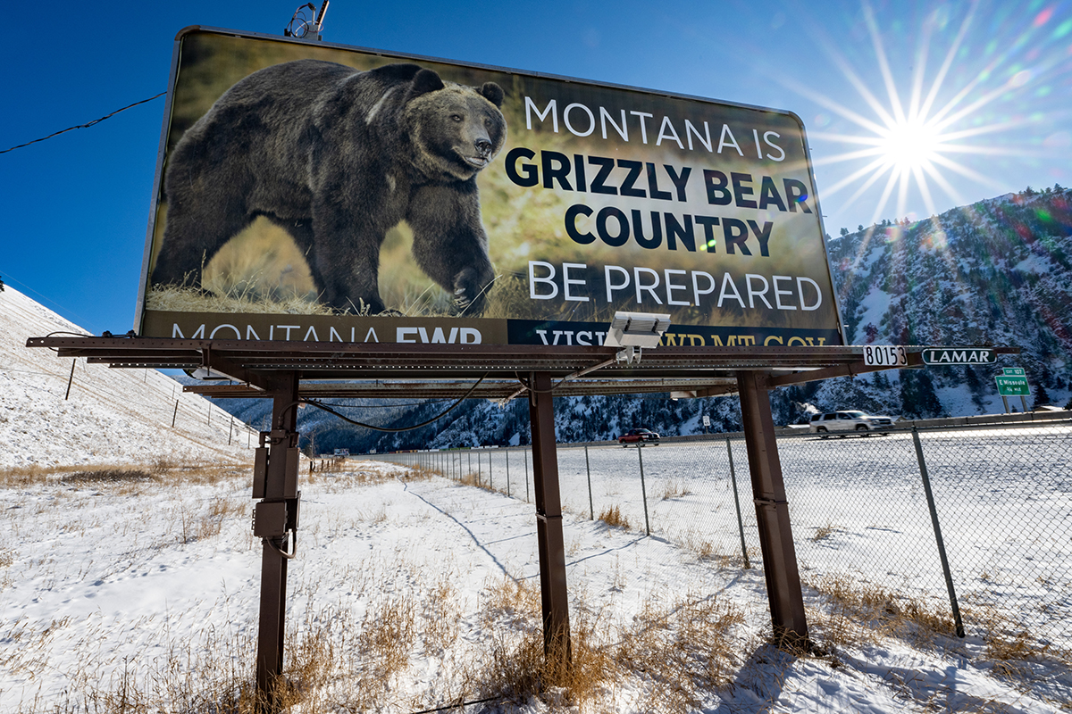 Billboard reminding Montanans about grizzly bears