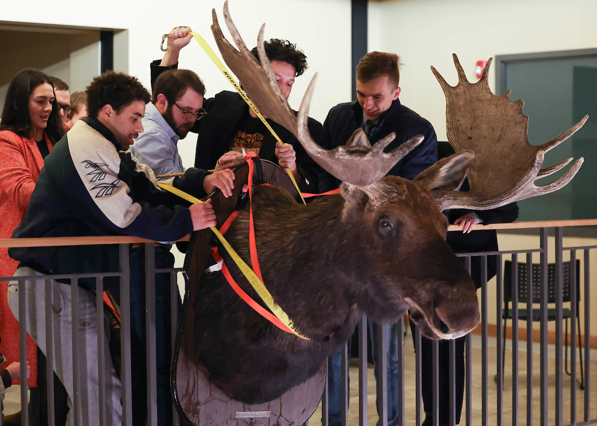 Law School students steal Bertha the moose.