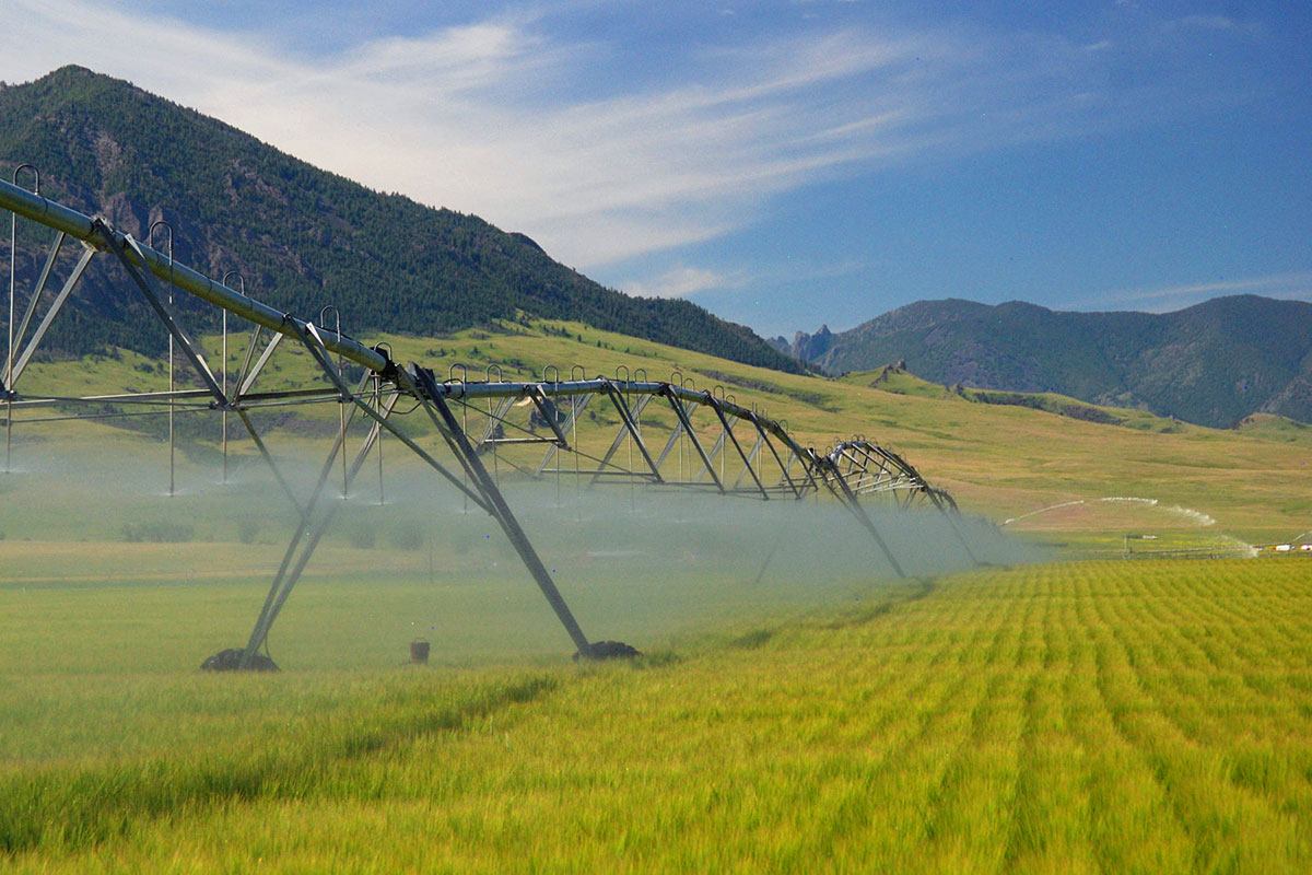 An irrigated farm near the Missouri River.