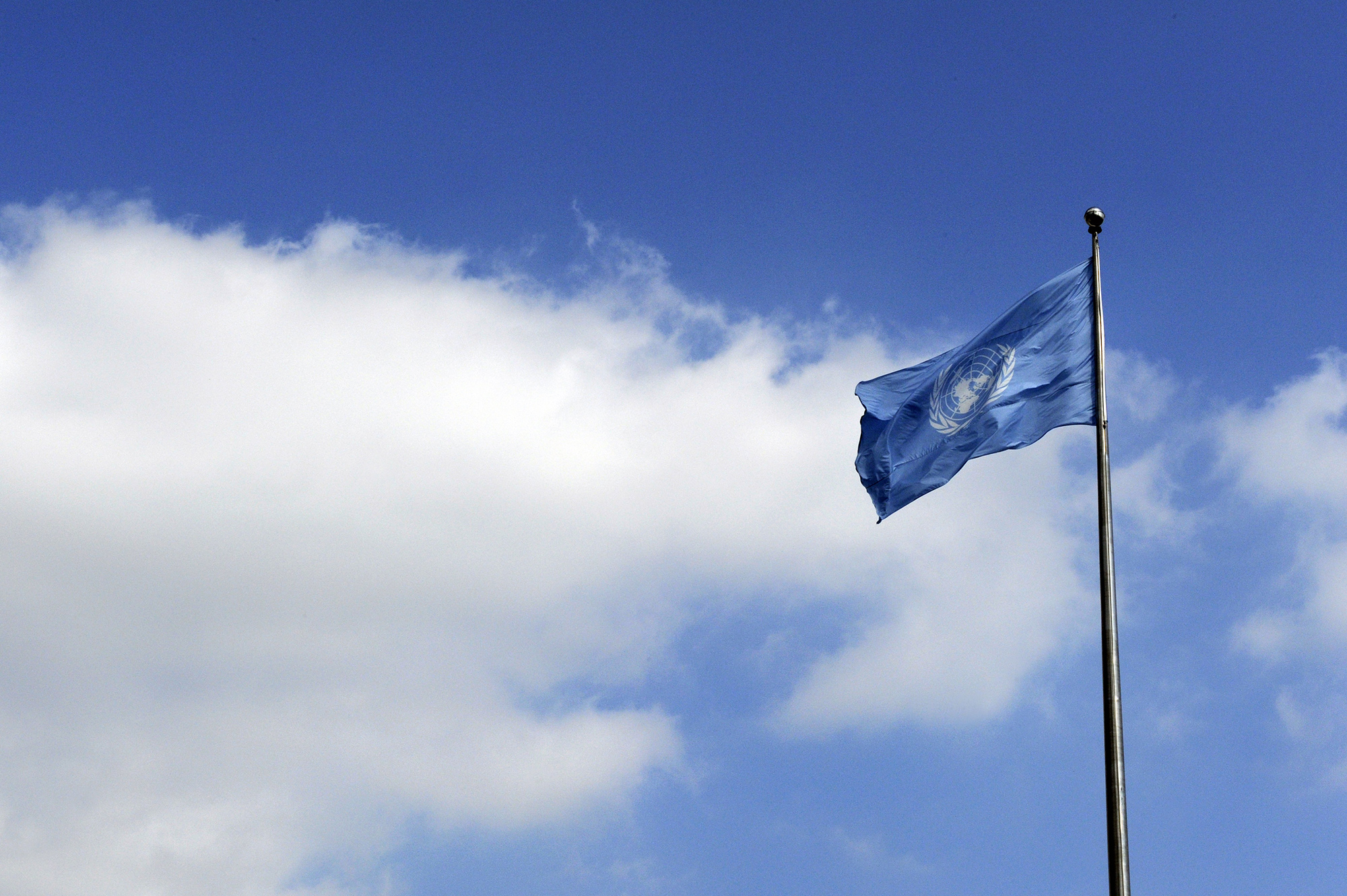 The UN Flag.