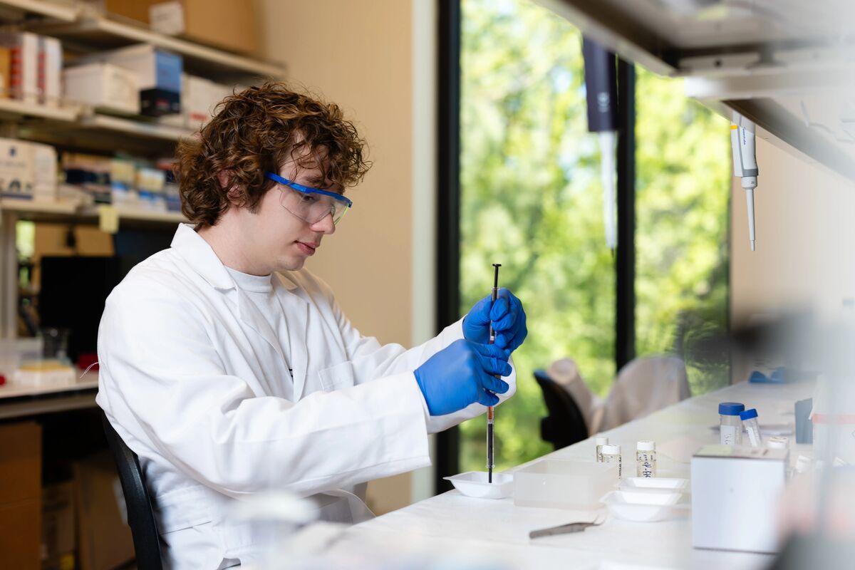 Male college of pharmacy student examining an experiment