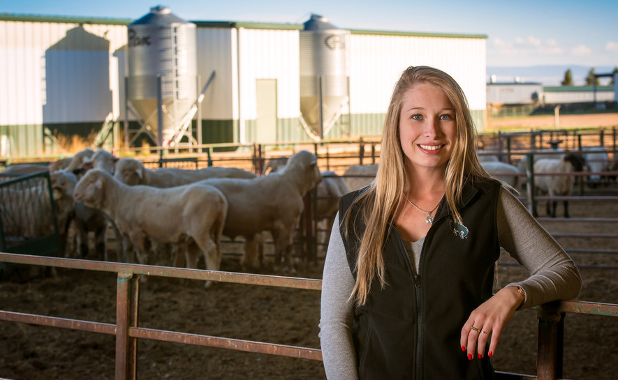 Two graduate students work on an atmospheric science field study.