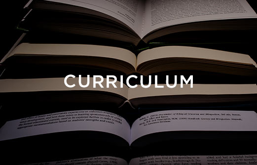 Curriculum