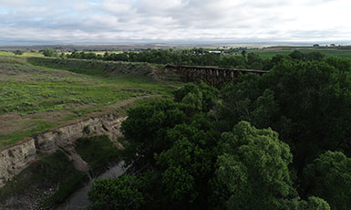 overhead view of area with woods and grasslands