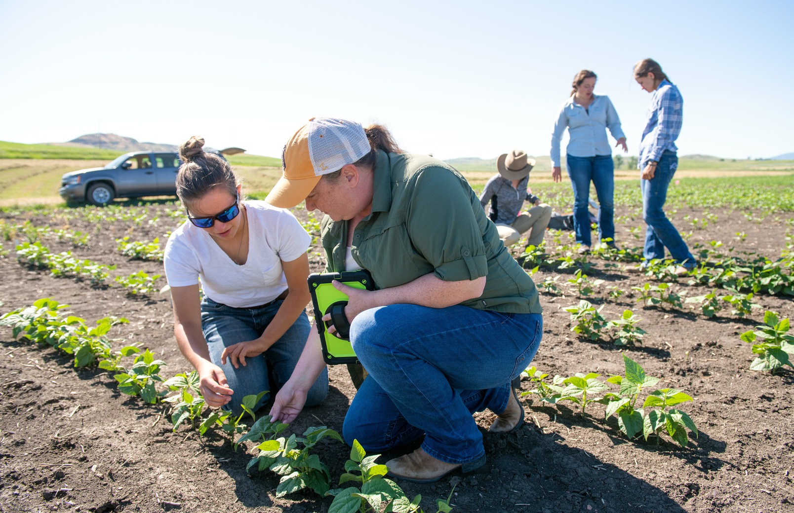 Students and faculty out in field