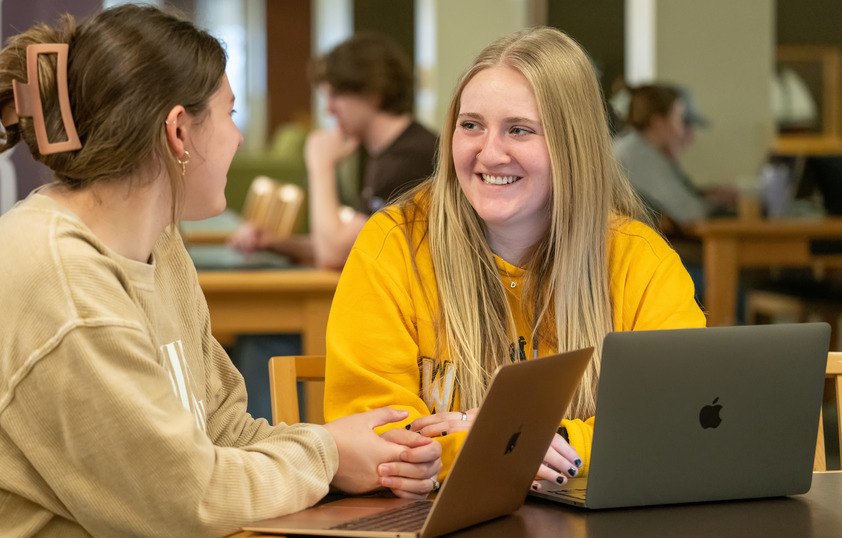 Two students work on their laptops in the library