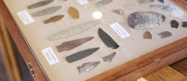 collection of stone arrowheads