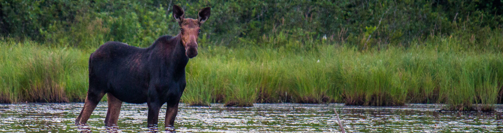 Green River Reservoir State Park 4