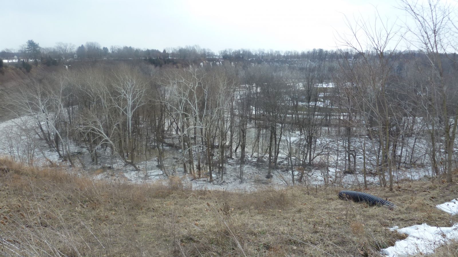 Vermilion River Ice from NWS ice jam flood survey