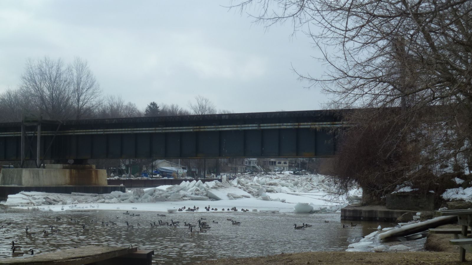 Vermilion River Ice from NWS ice jam flood survey