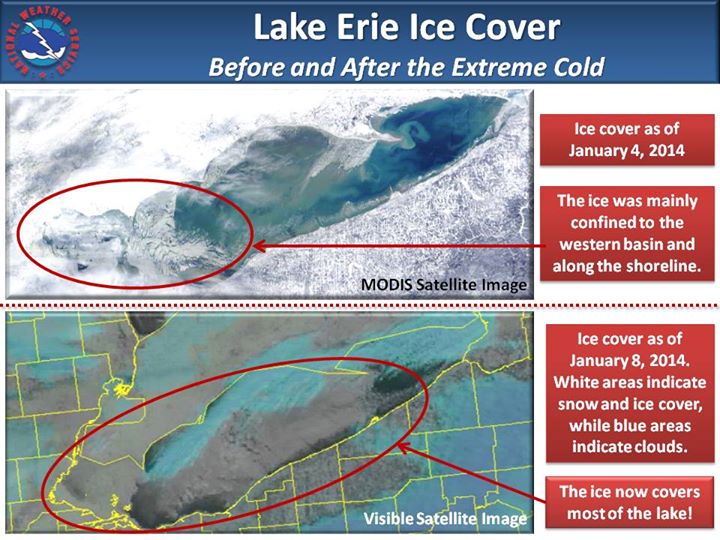 lake ice on 1/4 and on 1/8