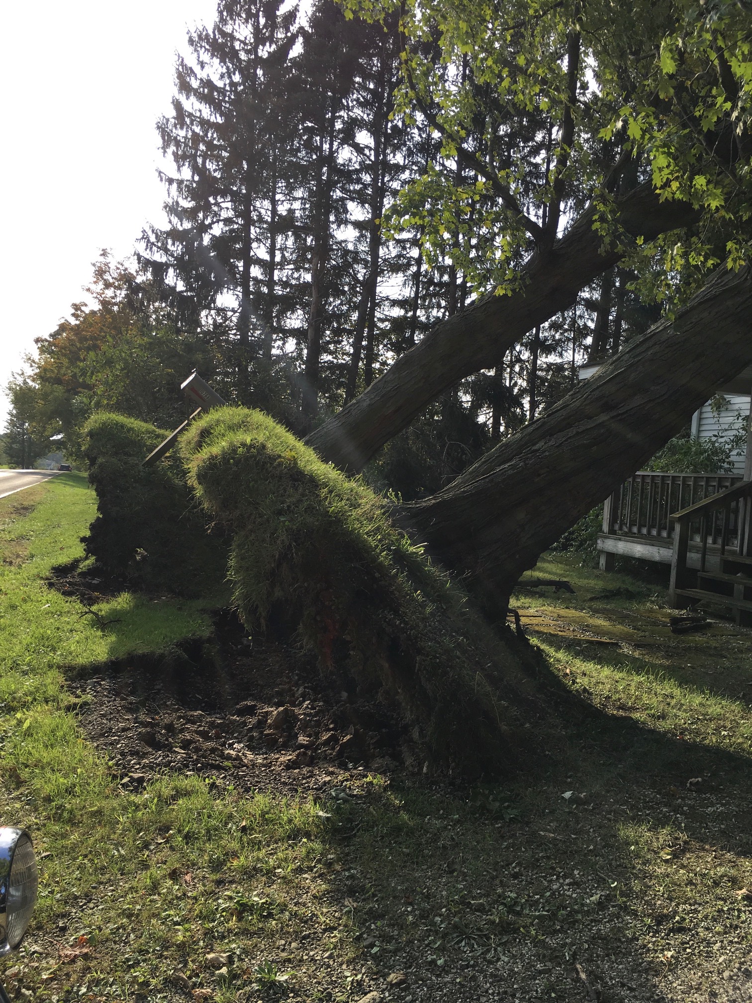 trees knocked over onto a house from the Conneautville tornado