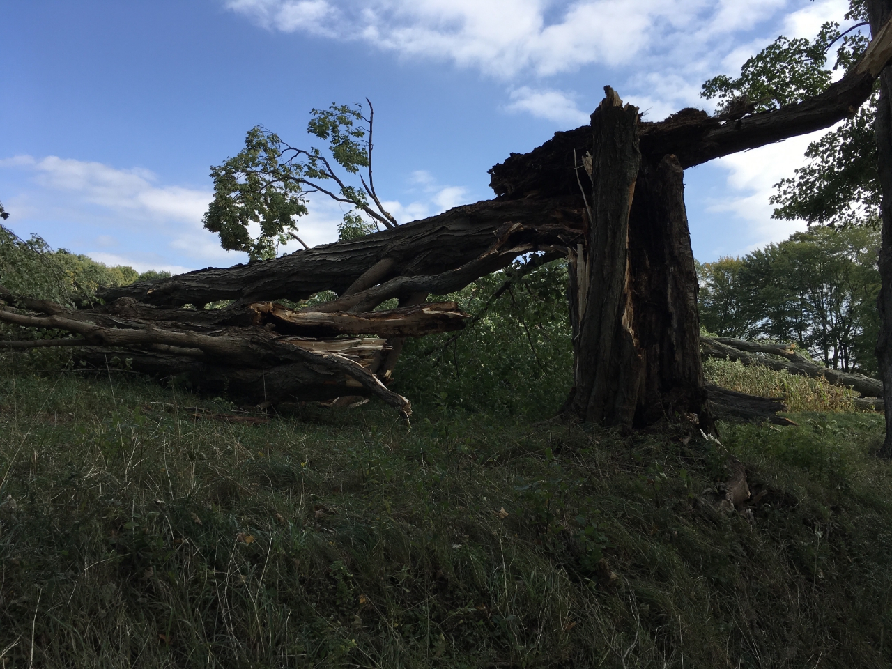 Photo of Damage from the Blooming Valley Tornado