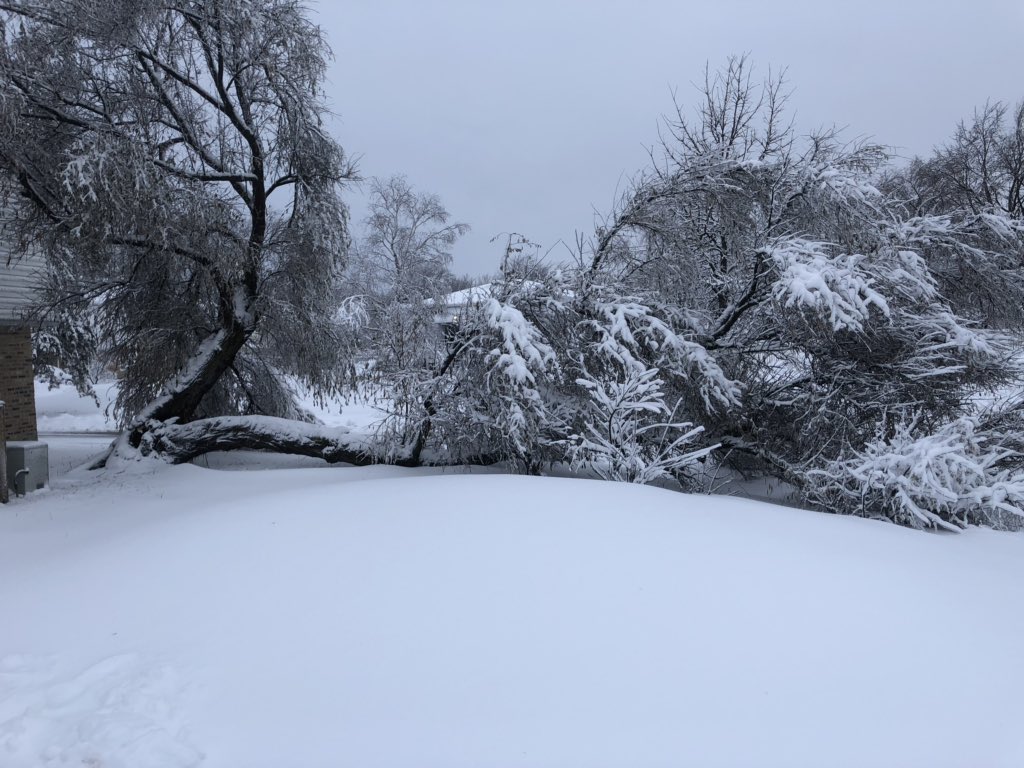 Photo by Joseph Bittolo - Rolling Meadows, IL