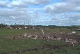 Oakfield tornado damage east of town