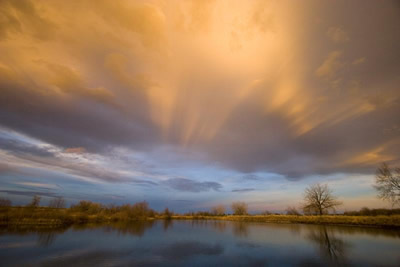 Anti-crepuscular rays are beams of sunlight that appear to converge on a point opposite the sun. They are similar to crepuscular rays, but are seen opposite the sun in the sky. Anti-crepuscular rays are most frequently visible near sunrise or sunset. This photo of anti-crepuscular rays was taken at sunset in Boulder, Colorado. Crepuscular rays are usually much brighter than anti-crepuscular rays.<p><small><em> Image Courtesy of Carlye Calvin</em></small></p>