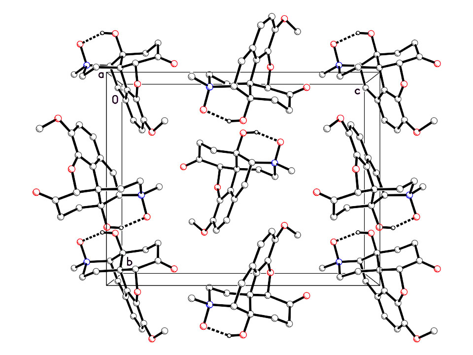 oxycodone-N-oxide